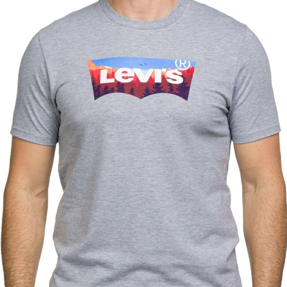 (Ew)Levi's men short-sleeved tees